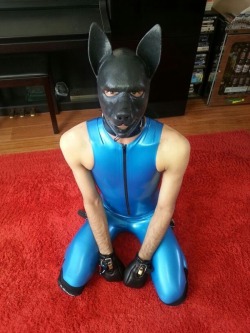 RUBBER-PUPPY RUGI