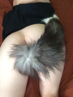 Tail plugs and fox tails