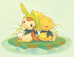 yurano194:  charo（torchic♀）& mano（chespin♂）