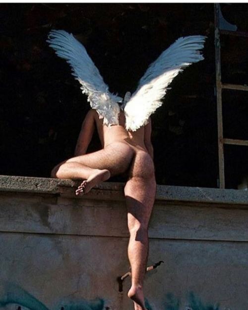 wesch72:  Finally my angel came to save me..