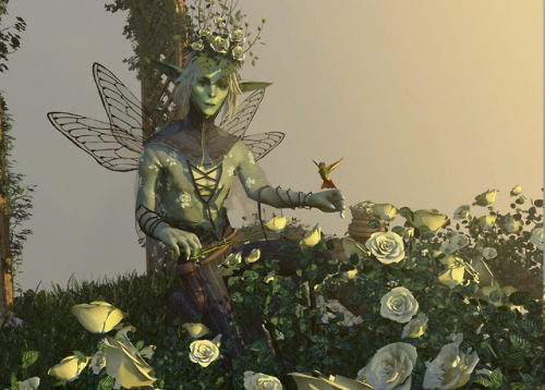 Every morning he arrived to tend the flowering buds…—The Rose Faerie is a combination p