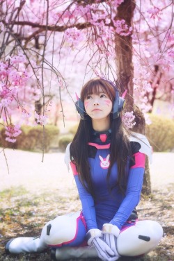 scandalousgaijin:D.va - Yurisa