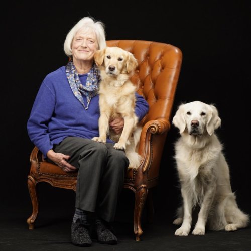 These two goldens are so happy that they will get to visit hospitals again soon. They were so good a