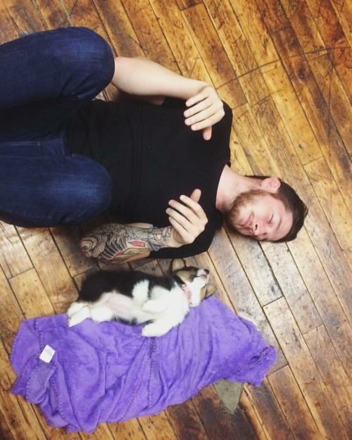 corgi-addict:  It’s more comfortable than it looks source: http://imgur.com/r/corgi/tX5etg1