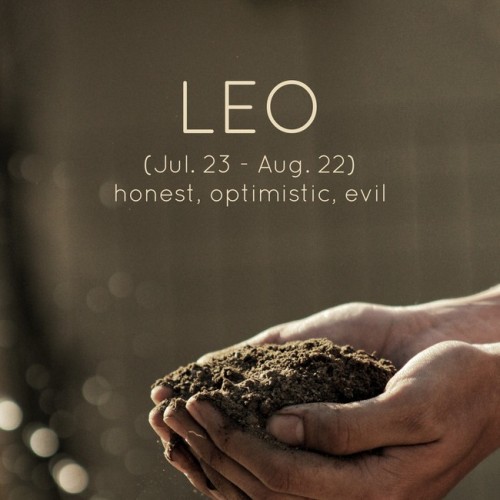 leo mon