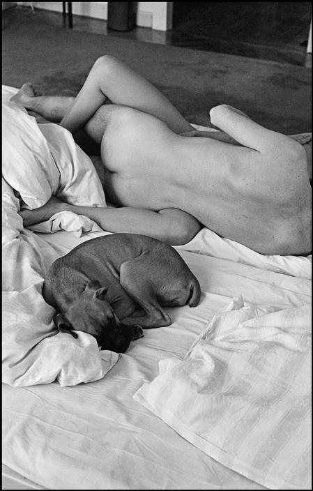howtoseewithoutacamera:  by Leonard FreedCouple in bed with dog, 1971.