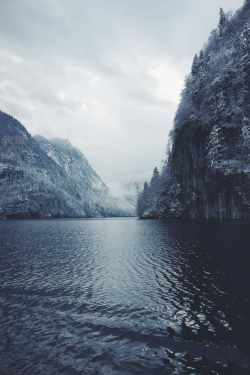 expressions-of-nature:  by mariusbauer