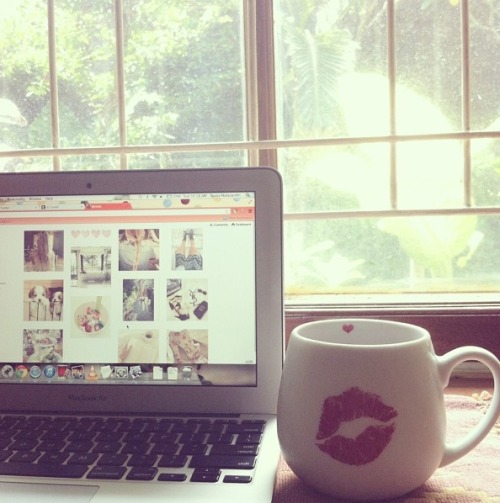r-osyisland:  ❀ following back similar blogs ❀
