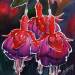 bubentcov:phalluchsia 🌷💕🍆