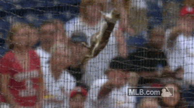 phillies:  Squirrel!