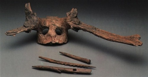 Red deer frontlet, probably used as a shaman&rsquo;s head-dress, from theMesolithic site of Star
