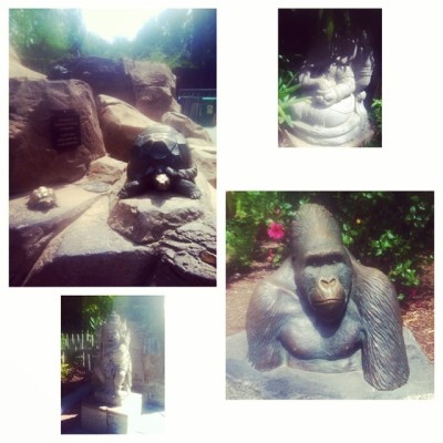 Went to the #LAZoo with momma and papa. #gorillas #turtles #reptiles #birds #lions #animals #isawthemall #familyouting