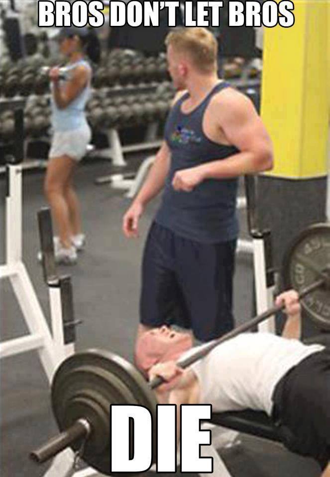 male-fitblr:  workhard-trainharder:  liftingwayoflife:  Remember!   lmao, this has