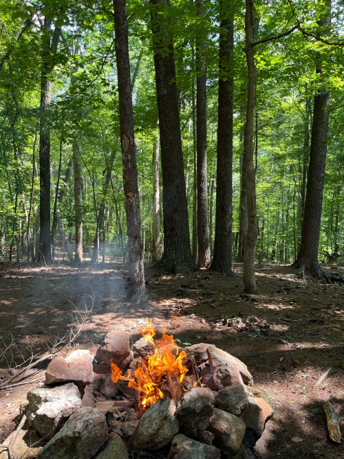 Lunch Today Included A Fire.