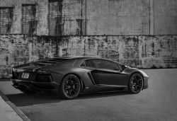 automotivated:  Aventador (by AM Photography