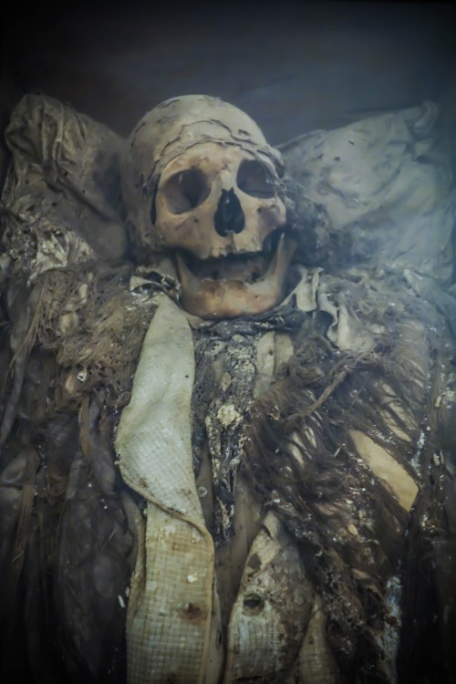 allthesaintsyoushouldknow:  The Carmelite Monastery of San Ángel Mexico City, Mexico  I’m currently working on a full piece for Atlas Obscura on theses guys but I couldn’t wait to share the photos. These are naturally occurring mummies on display