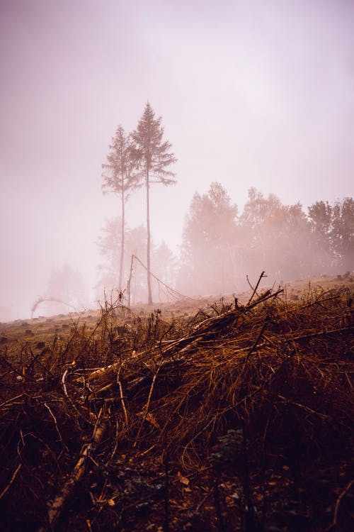 virtuallyinsane-autumn:Petra Kopásková