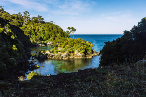 Rakiura aka Stewart Island, “the anchor of NZ.”