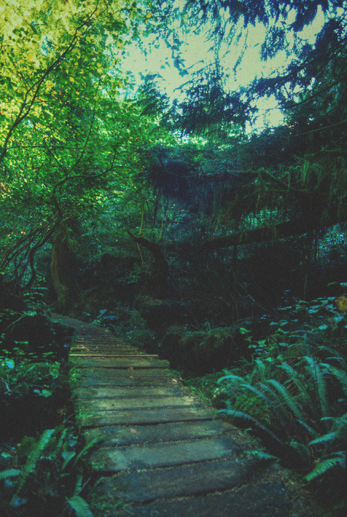 themoonphase:  re-examine:  ॐ free your mind ॐ   ॐ The Hippie Treehouse ॐ