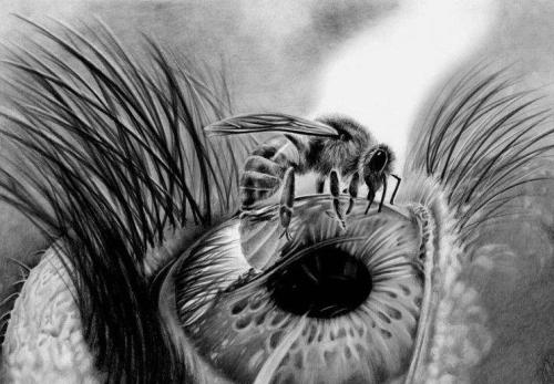 ‎'Apiphobia’ by Paula (UK) pbird12.deviantart.com/ Contemporary Art page www.fa