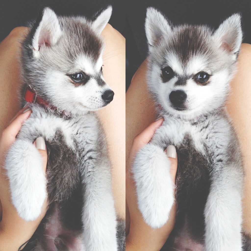 I&rsquo;m dying, this is to much cuteness 