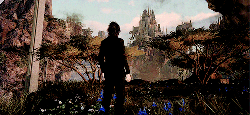 mistress-light:W H E R E   S H E   L I V E D“Do you remember the flowers of Tenebrae? It seems so lo