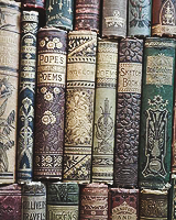 theunseeliequeen:  Favorite Little Things → Books 