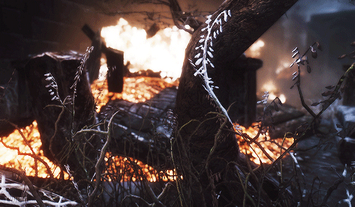 tyvian:✗ WAR IS THE PROVINCE OF DEAD MEN AND CROWS. ✗