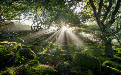 September Mist 3 by J C Mills Photography on Flickr.