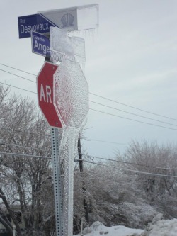 givemesomespock:  oh canada 