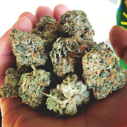 psychechronic:  A nice handful o’ kush