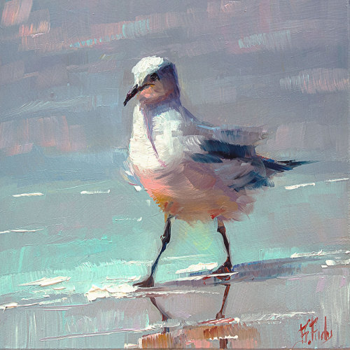 Seagull painting. Oil 6x6in