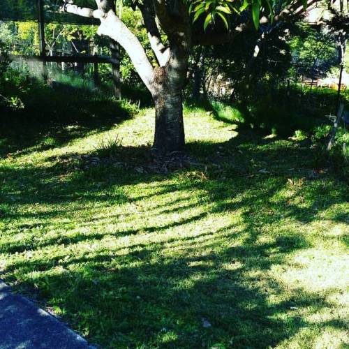 #mowinginlatex phew &hellip; it might be winter but damn it be hot even if it be a #sleevelessca