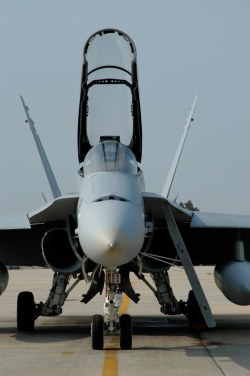 rocketumbl:  F/A-18