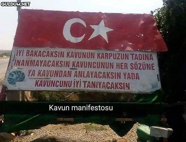 Can Yücel kavun alıyor CA...