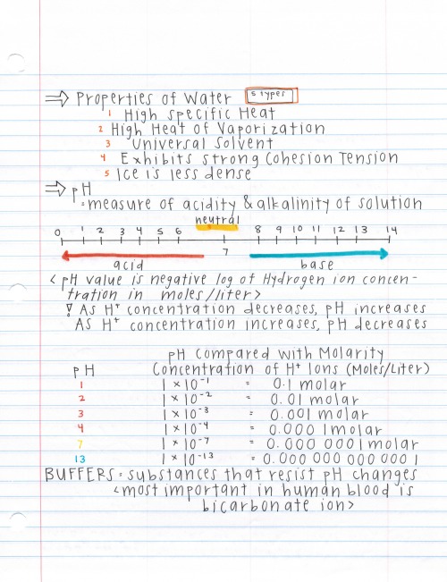 darwinsgirlfriend:  notes off the barron’s ap biology book, a more condensed form compared to my other notes. also a major throwback because i made these the summer before school even started wow i’m such a nerd. 