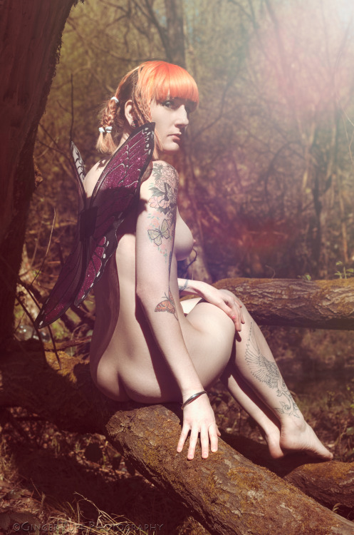 sariebob:  Gingertuft photography#