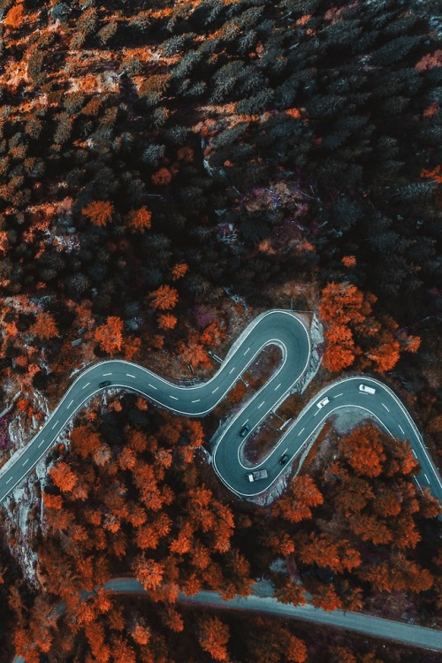 maybe-you-need-this - Maloja Pass, Bregaglia, Switzerland