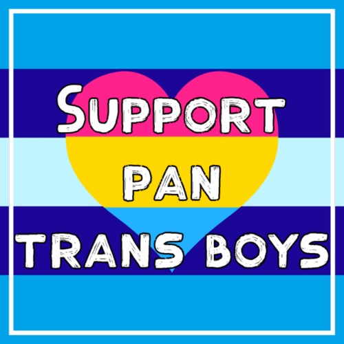 mogaicore:Support trans dudes, they deserve it[ID: Ten graphics with a variation of the trans man pr