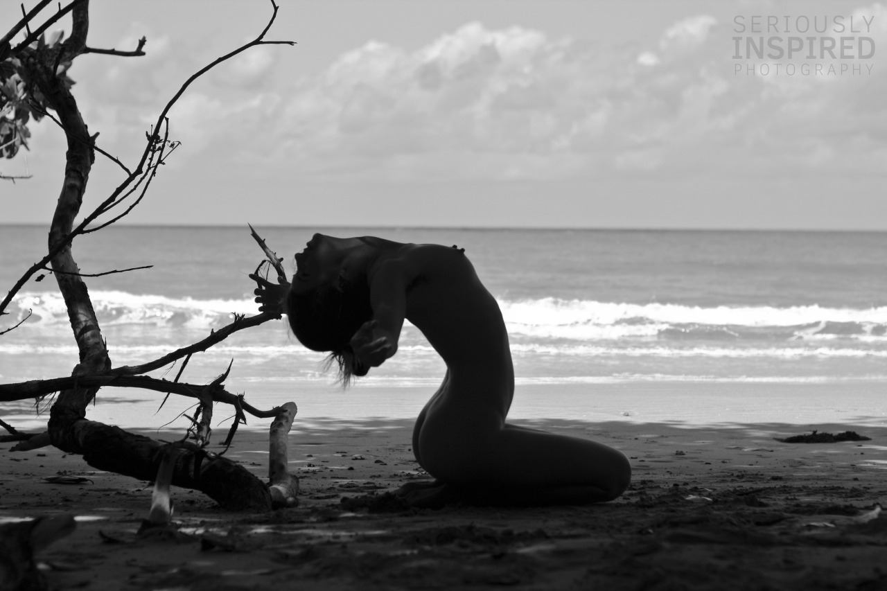 seriouslyinspired:  it was the last kyotocat by seriouslyinspiredCape Tribulation,