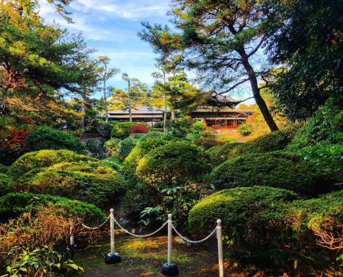 ＼秋の庭園公開情報／ 毎年秋に神奈川県で行われている『湘南邸園文化祭』。 ⇒http://shonan-teien-festival.org/ 気づくのが遅くなっちゃったけど、先月 #ガーデンツーリズ