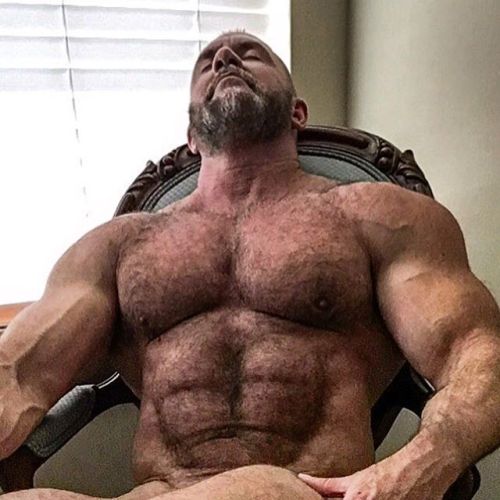 Porn Pics ursosparrudos: THOM AUSTIN