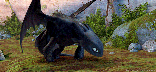 jackthevulture:briannathestrange:a warm Toothless is a happy Toothless {x}I love this bit. Because i