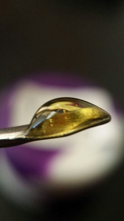 dabbydabs:  Dab of some XJ-13 by The Clear adult photos