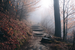 robsesphoto:  The Appalachian trail is one of the longest continuously marked footpaths in the world, measuring roughly 2,180 miles in length.The Great Smoky Mountains, Tennesseesource: robsesphoto