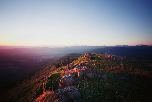 foxmouth:The Hillsides of Spring2013Danielle Hughson