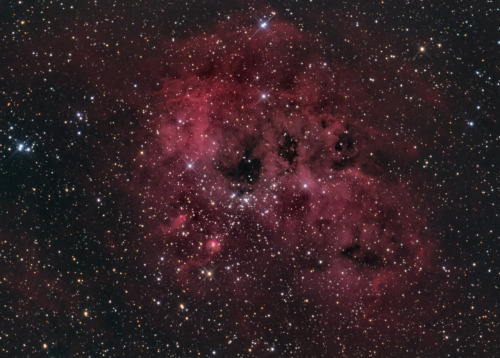 monstre-fou:  just–space:  Gorgeous IC410  js