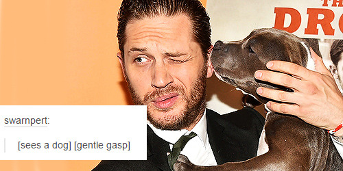 stripperleepace:tom hardy + dogs (oops) porn pictures