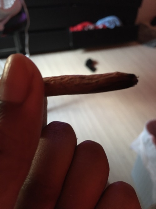 Morning High 