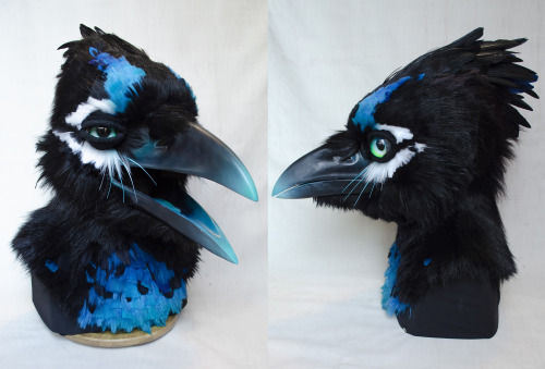 Wrapping up my last big project of 2020 - an artistic libery stellar’s jay for @magpiemunchie!